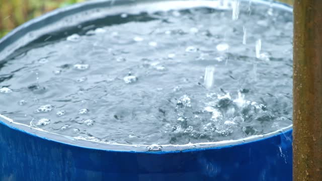 A blue barrel for collecting rainwater. Collecting rainwater in plastic container.