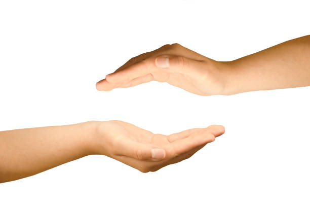 istock Women's graceful hands. Hand over hand to present your product. 1470155075