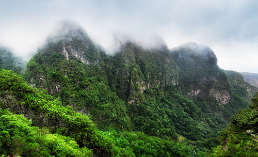 Jungle in Madeira island - Views from the trekking trail on the cliffs at Levada do Caldeirao Verde, Queimadas, Portugal