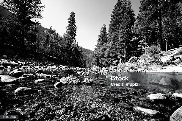 Photo libre de droit de De Yosemite Stream banque d'images et plus d'images libres de droit de Amérique du Nord - Amérique du Nord, Arbre, Arbre à feuilles persistantes