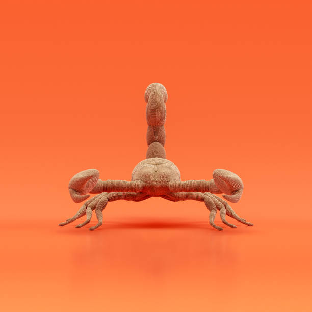 istock Scorpion doll, stuffed insect made of cloth, single varmint from front view, handmade bug, 3d rendering 1470159769