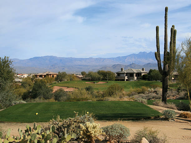 arizona-golf - sonora state stock-fotos und bilder