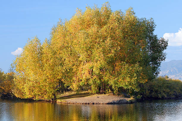 Vivid, Fall Colors stock photo