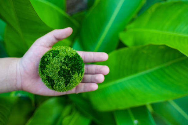 istock Hand holding a globe shaped ball net zero and carbon neutral concept net zero emissions target Long-term, climate-neutral strategy. 1470161368