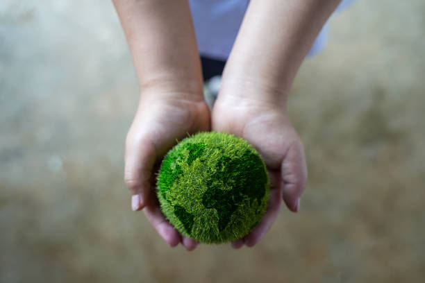 istock Hand holding a globe shaped ball net zero and carbon neutral concept net zero emissions target Long-term, climate-neutral strategy. 1470161374