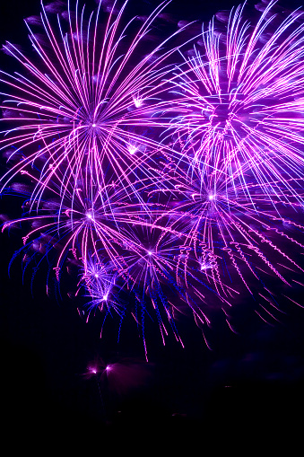 Purple fireworks in a dark sky