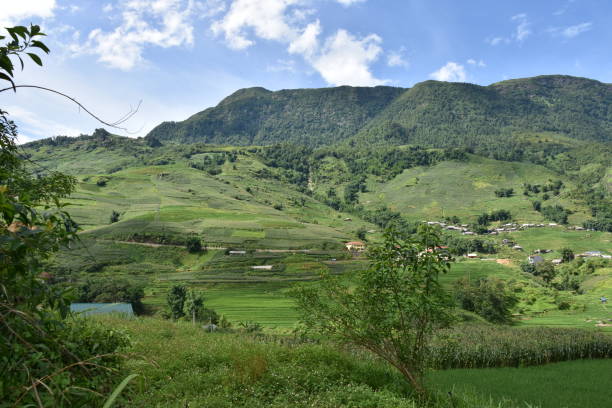 istock Green Summer Landscape in Sa Pa 1470164263