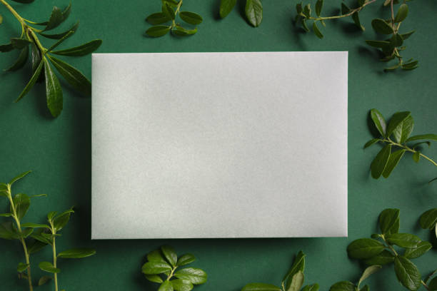 istock blank card and  green plant 1470165745