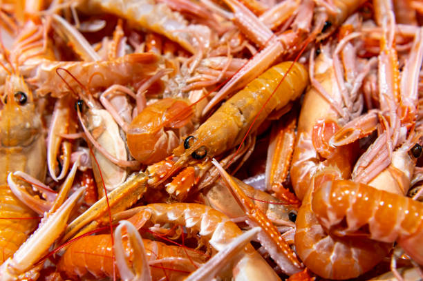 istock fresh orange whole shrimps 1470165881