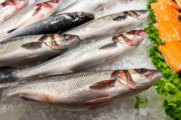 istock fresh fish on fish market 1470166472
