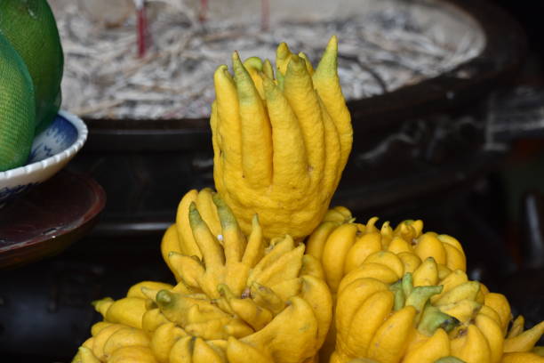 istock Buddha’s Hand Fruit Offering in Buddhist Temple 1470167360