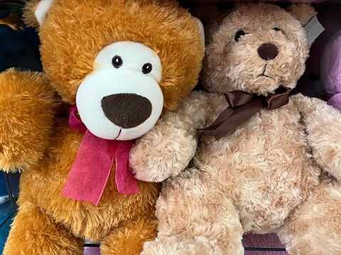 Close up view of colorful and big teddy bear being displayed in a store for sale.