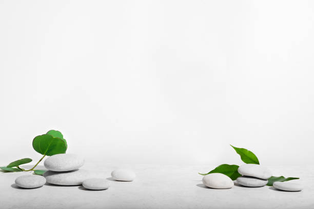 istock White background with green plants and natural stones 1470167818