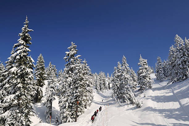 istock Snow covered mount Seymour park, north Vancouver 147016782
