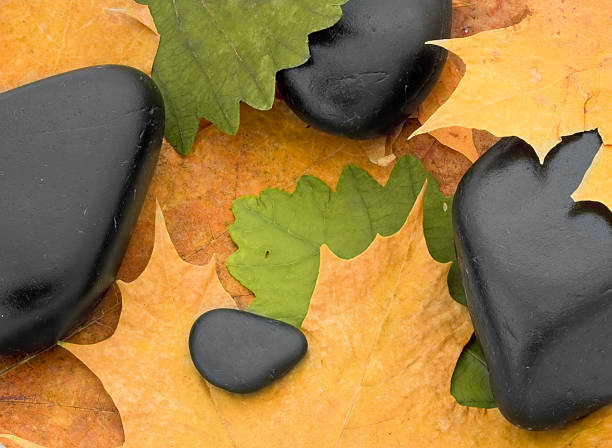Background from black stones and multi-coloured autumn leaves