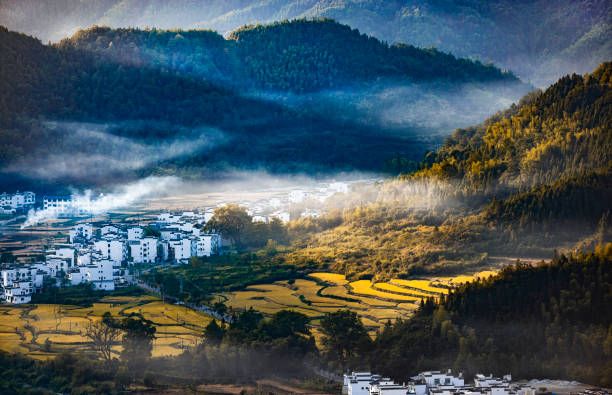 Autumn terrace scenery of Jiangling in Wuyuan, Jiangxi province