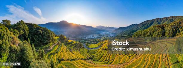 Autumn Landscape Of Terraced Fields And Countryside Stock Photo - Download Image Now