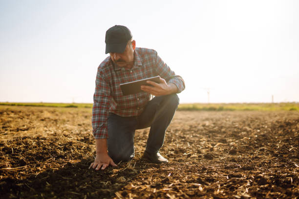 Male hands touching soil and checks quality of soil before sowing. stock photo