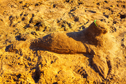 Animal made by sand on the sandy beach . Figure carved in sand