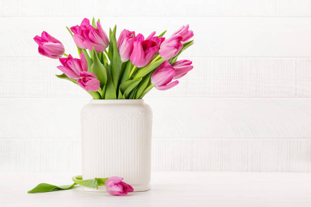 istock Fresh pink tulip flowers 1470172251