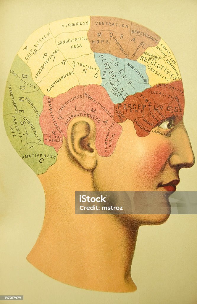 アンティーク医療イラストレーション/Phrenology 1884 - 骨相学のヘッドモデルのロイヤリティフリーストックイラストレーション