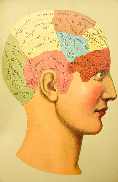 http://thebrainstormlab.com/banners/ami_banner.jpgThis is a stipple/engraved illustrated plate of a human head showing the lines of Phrenology-- the now defunct field of study, once considered a science, by which the personality traits of a person were determined by 