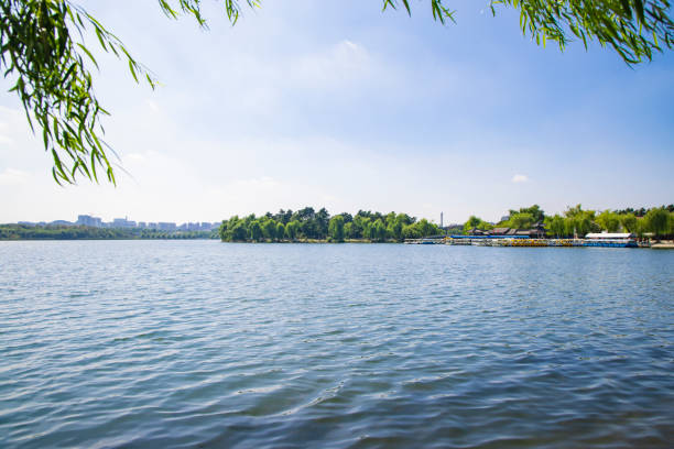 The lake in the park