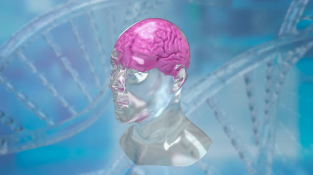 istock The crystal head and brain for sci or education concept 3d rendering 1470179293