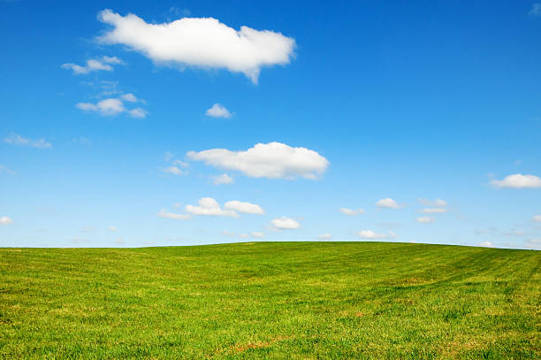 istock Country Scene on a Sunny Day 147018198