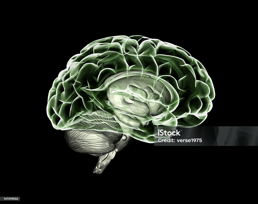 Cervello verde - Foto stock royalty-free di Anatomia umana