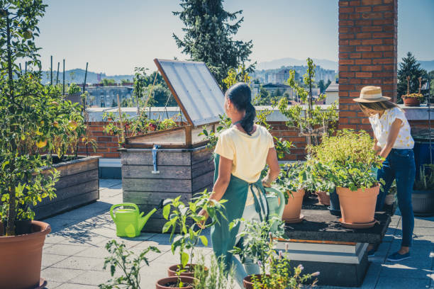 istock Women working on rooftop garden 1470196064