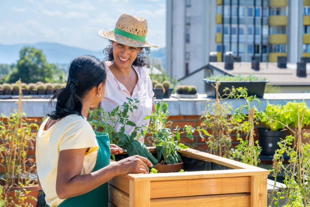 istock Smiling women standing by flowerbed 1470196066