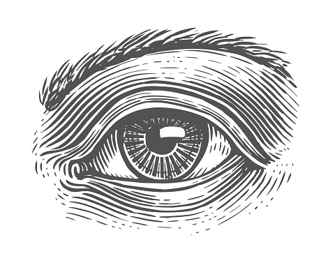Human eye in engraved style. Hand drawn sketch vector illustration