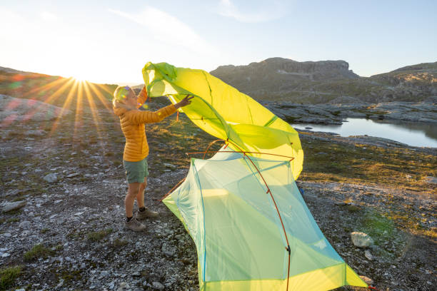 She builds up her shelter at sunset before dark. Wild camping in the mountains in Norway in summer.