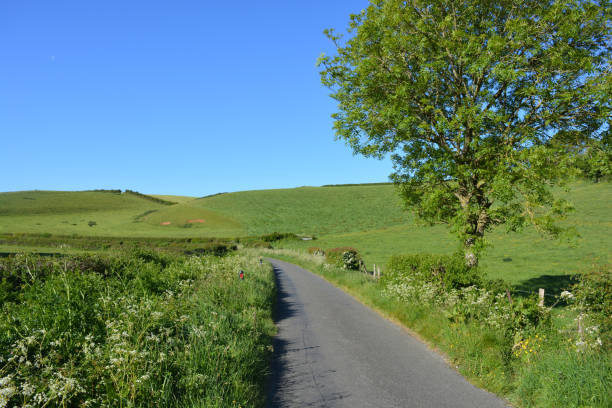 istock Rural road through English landscape 1470199067