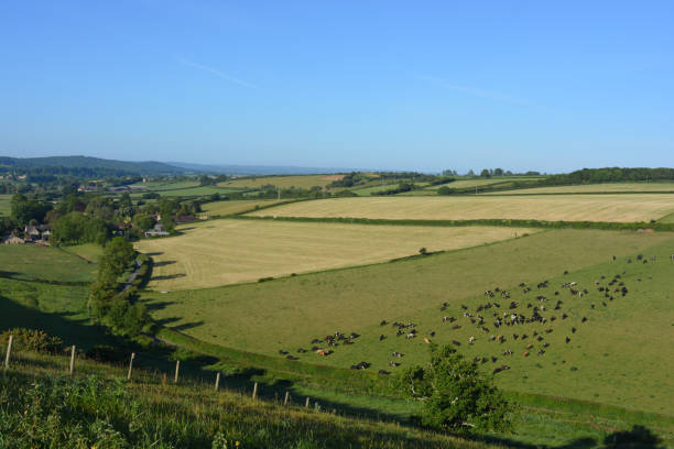istock Panoramic English rural summer landscape 1470199171