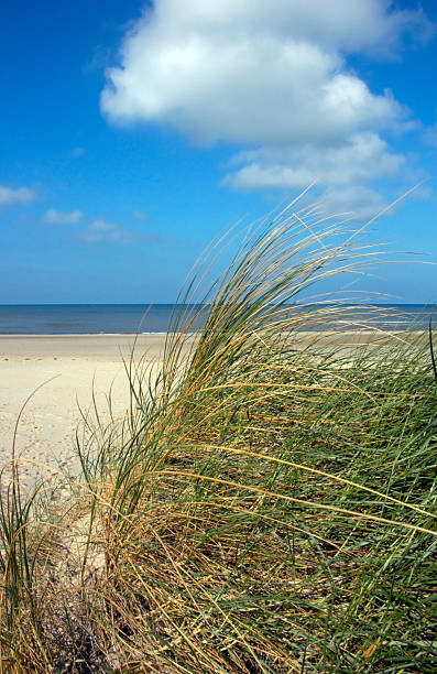 View from a dune over beach and sea stock photo