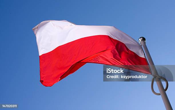 Polnische Flagge Winken Auf Wind Stockfoto und mehr Bilder von Blau - Blau, Flagge, Fliegen