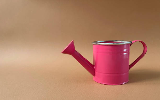 istock Watering can garden. Irrigation aid. Household goods. 1470204245