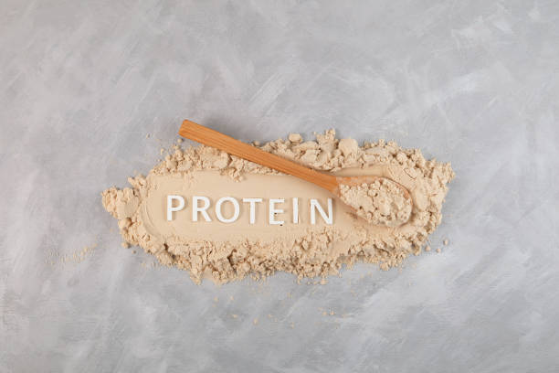 pile of pure whey protein powder with inscription protein. food additive promotes the growth of muscle tissue, often used for healthy smoothies and fitness cocktail - protein concentrate imagens e fotografias de stock