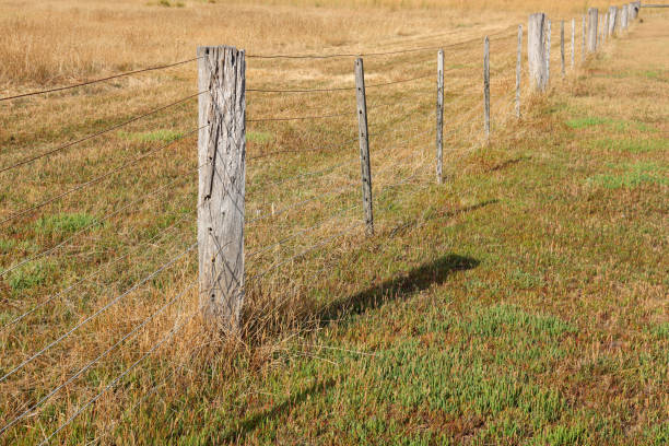 istock rural fence in the field 1470205707