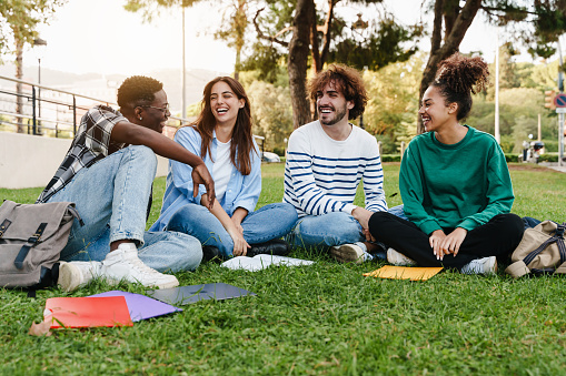 University student friends sitting on the grass, talking in the college campus - African American youth