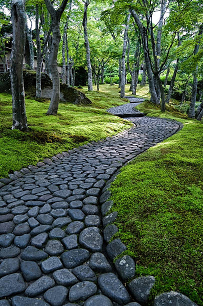 Caminho sinuoso pela moss jardim japonês - foto de acervo