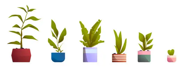 Vector illustration of Plants in pots for home and office interior