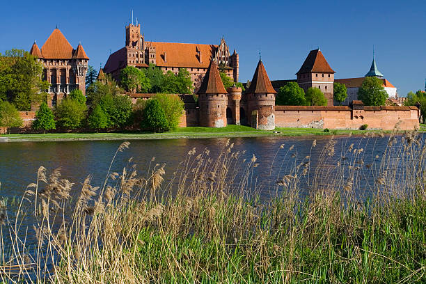 the castle Malbork the gothic castle Malbork in Poland malbork photos stock pictures, royalty-free photos & images