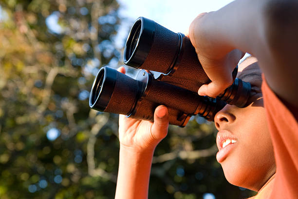 boy sights flight a boy looking through binoculars bird watching stock pictures, royalty-free photos & images
