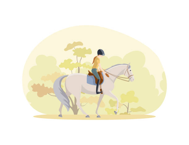 illustrations, cliparts, dessins animés et icônes de fille sur un cheval gris monte dans un parc d’automne - women bride personal accessory adult