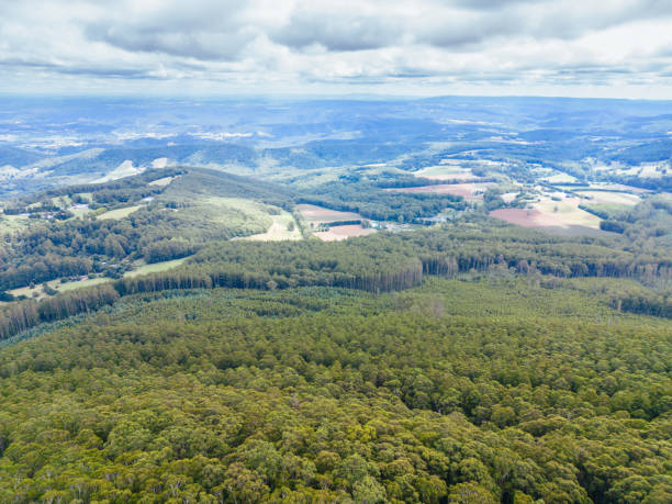 istock Summer Landscape at Mt St Leonard in Australia 1470214561