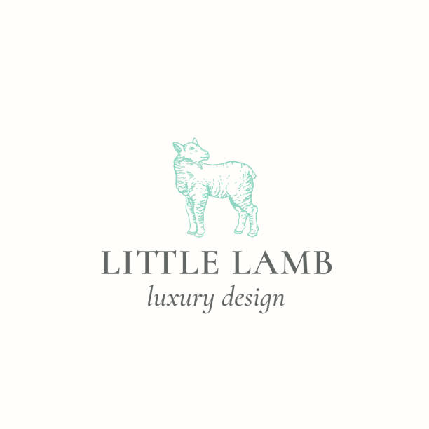 Little Lamb Abstract Vector Sign, Symbol, Label Template. Hand Drawn Engraving Sheep Sillhouette with Retro Typography. Vintage Luxury Vector Emblem. Isolated