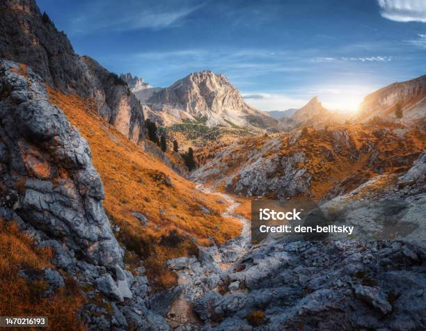 Beautiful Mountain Path Rocks And Stones Orange Trees At Sunset In Autumn In Dolomites Italy Colorful Landscape With Forest Rocks Trail Orange Grass And Blue Sky In Fall Hiking In Mountains Stock Photo - Download Image Now